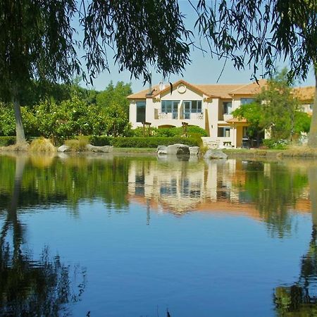 Tuscany Downs Estate Darfield Exterior photo